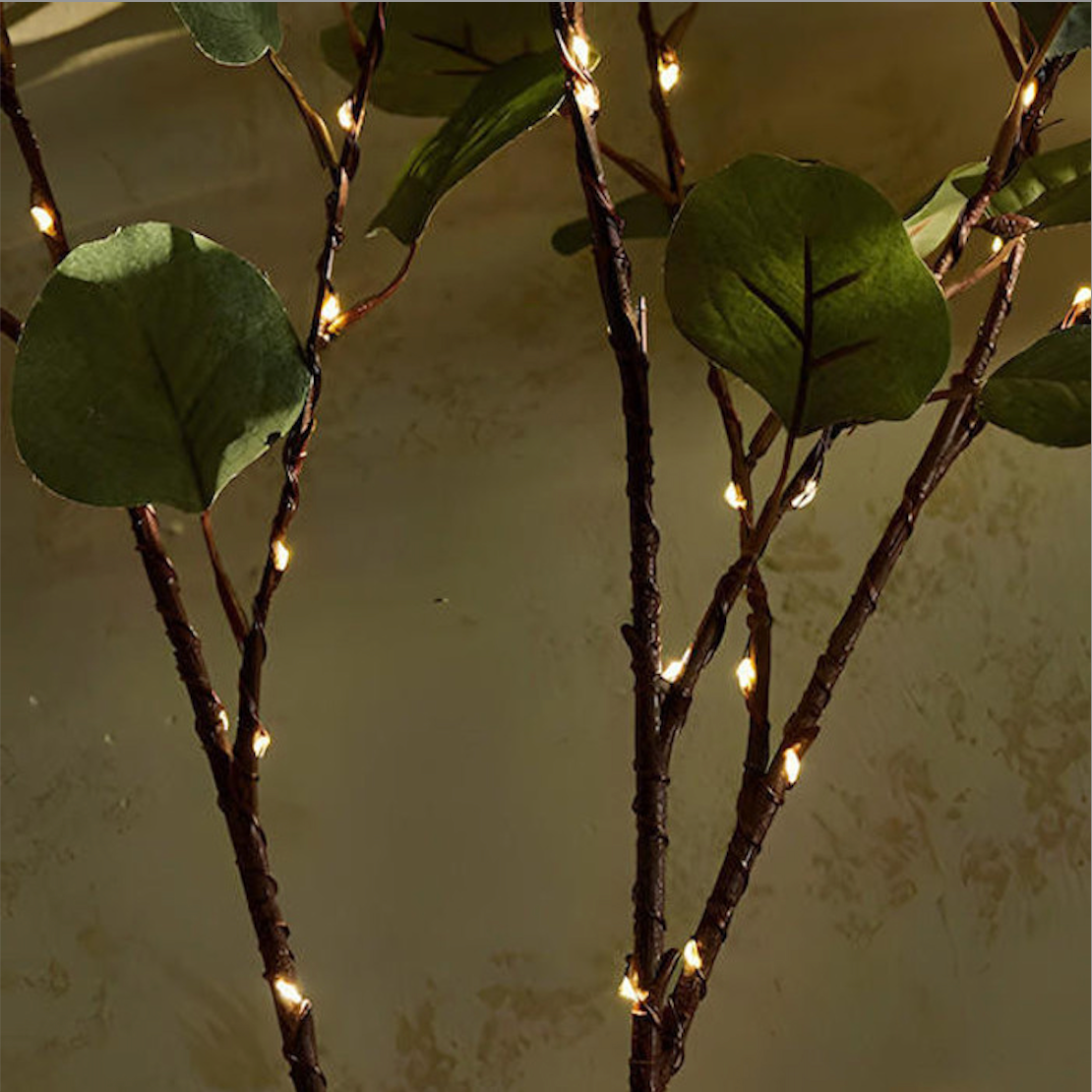 Fairy Light Olive Vine