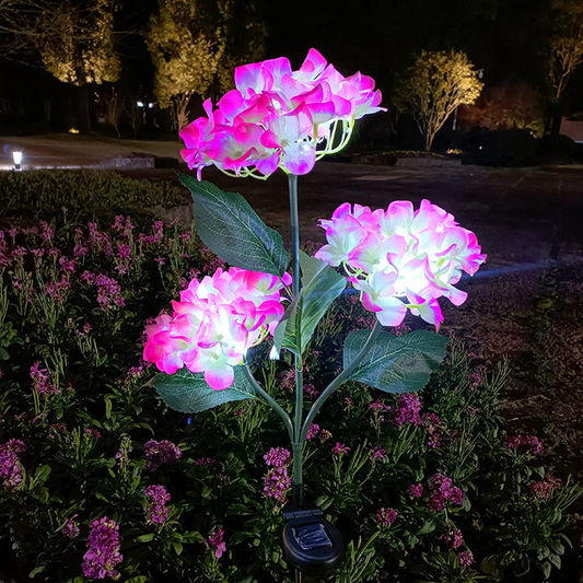 Fairy Hydrangea Lights